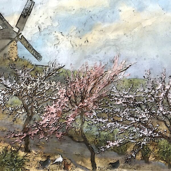 Liedjes met en zonder woorden