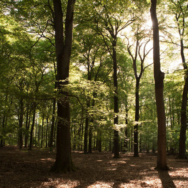 Finalisten LiedDuo 2021