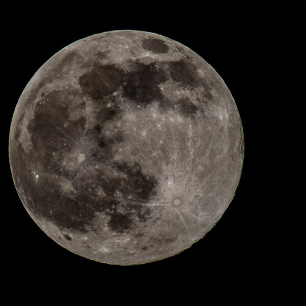 Beluister de complete Canto Ostinato in De Nacht