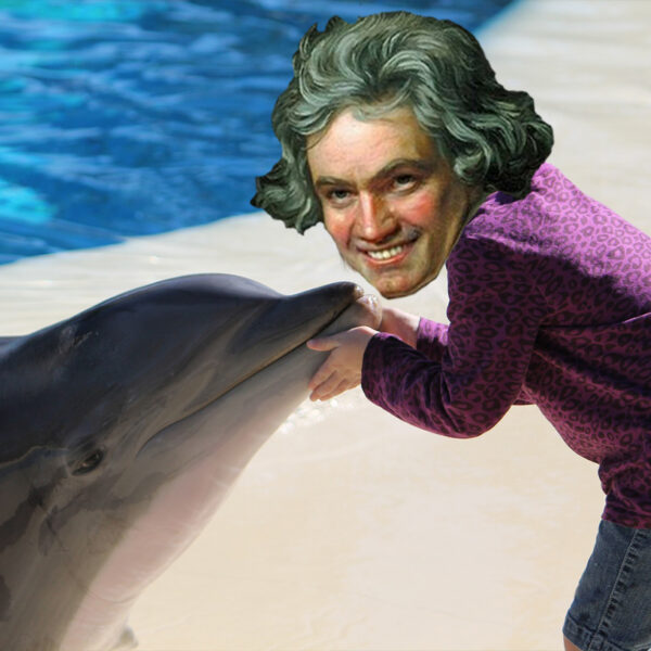 Onderzoek: dolfijnen worden socialer door klassieke muziek