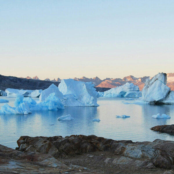 Arctic Suite van Jacob Shea hoogste nieuwe binnenkomer in Klassieke Top 400