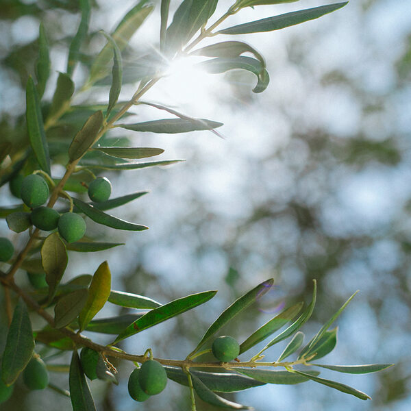 3 Matthäus-alternatieven die je echt moet horen