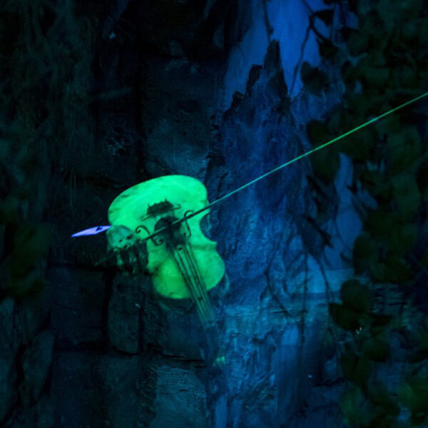 Danse macabre werd bij toeval muziek van het Spookslot in de Efteling