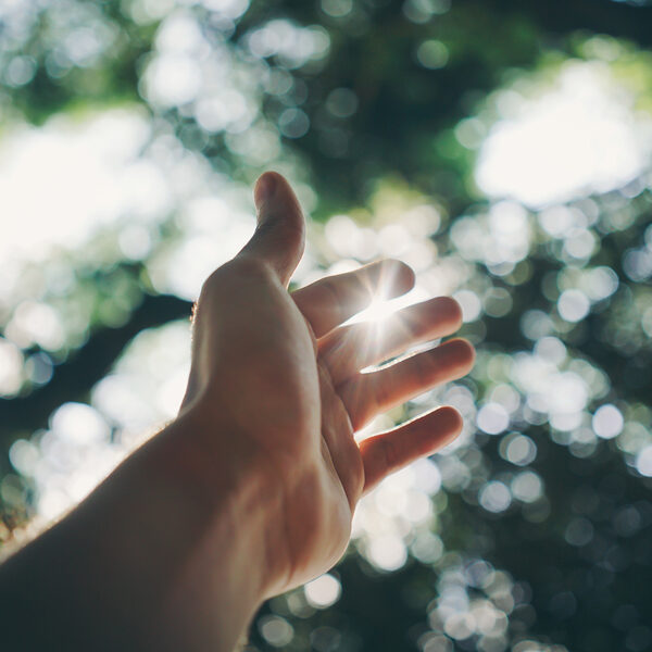 Topstukken: de Johannes-Passion van Bach