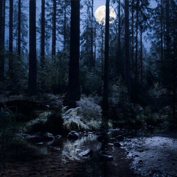 Topstukken: Verklärte Nacht van Schönberg