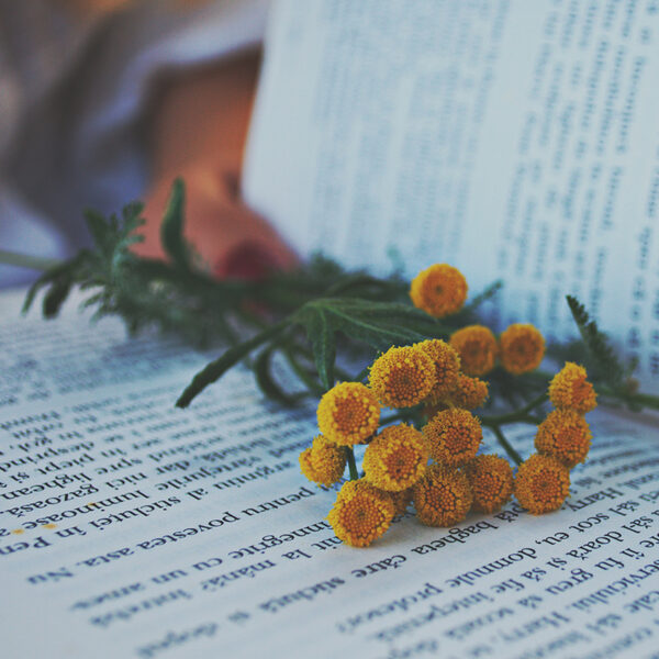 Wat betekent de tekst van Erbarme dich?