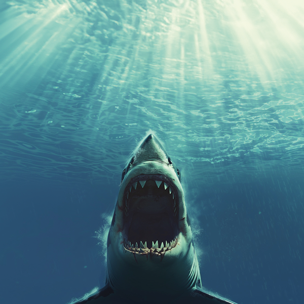 NPO Klassiek verdubbelt Filmmuziek Toplijst: grootste editie ooit met 400 scores