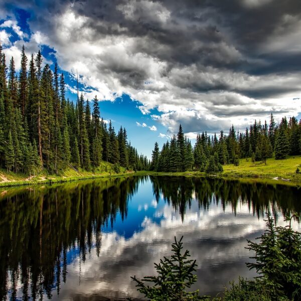 Zen in één minuut: Tsjaikovski's Vioolconcert