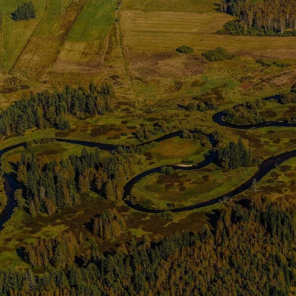 Zen in één minuut: De Moldau van Smetana