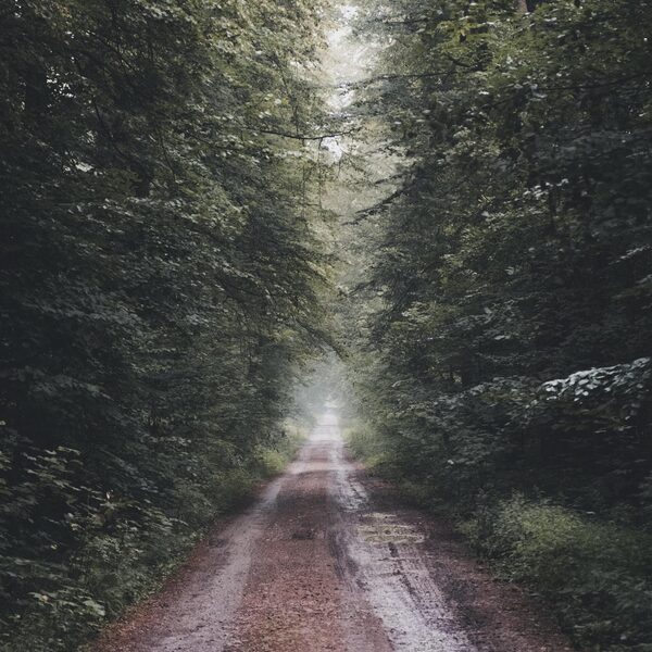 Ton de Leeuw: avant-gardist, maar ook een voortreffelijk arrangeur