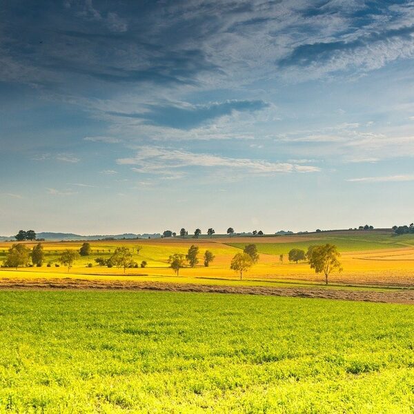 Orlando Festival 2021: Een internationaal componisten-kwartet