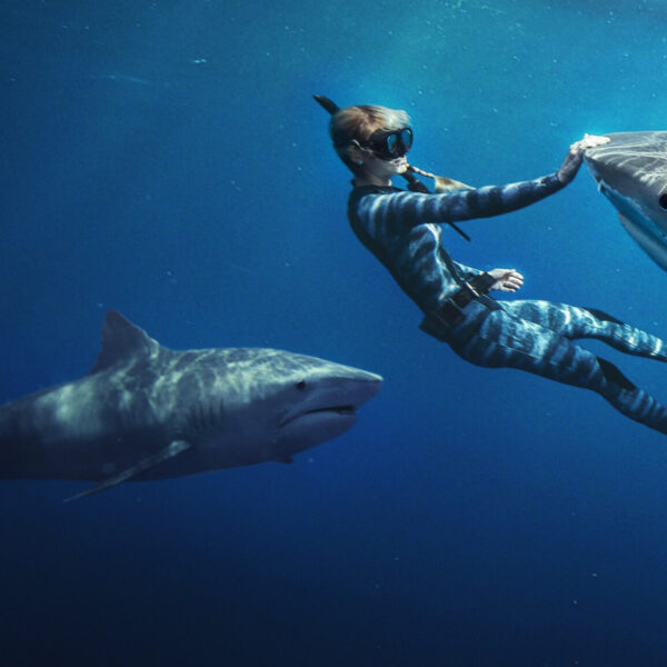 Deze muziek van Roger Goula en Sam Thompson hoor je in de documentaire 'Shark Whisperer'