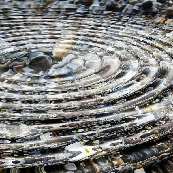 Nieuwe lichting, deel 2