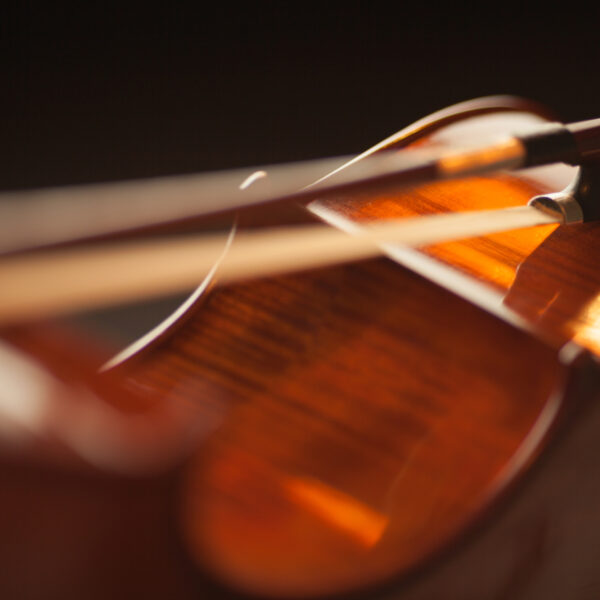 Petitie tegen beperking gebruik strijkstokken van pernambuco