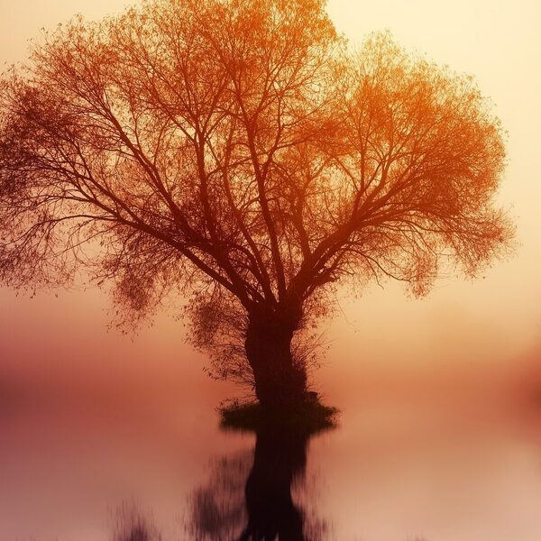 Inauguratieconcert Eivind Gullberg Jensen