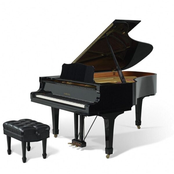 Semifinalisten Chopin-pianowedstrijd bekend