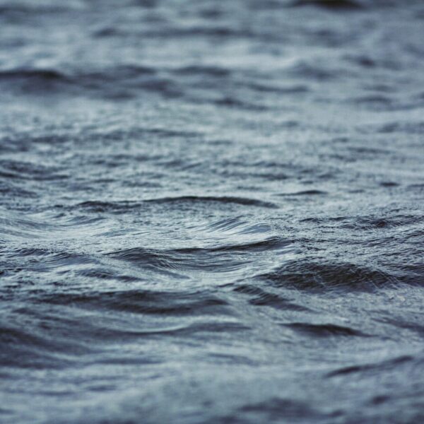 Zo kalm maakt het water met klassieke muziek