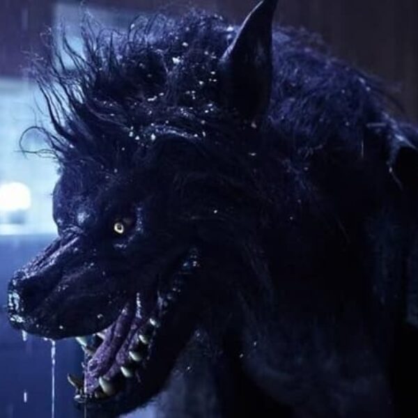 The Newton Brothers maken muziek bij de horrorthriller 'Werewolves'