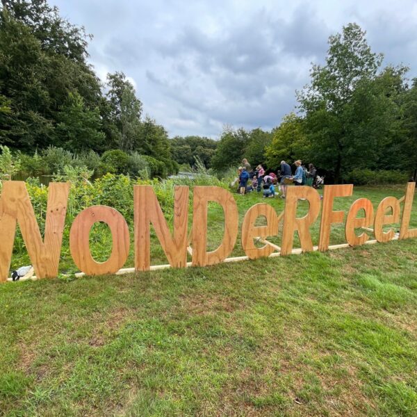 Wonderfeel 2024: Wonderfeel Festival Orchestra