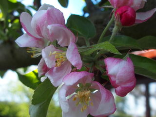 De laatste uurtjes van je weekend...