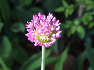 Tips voor een muzikale lente!