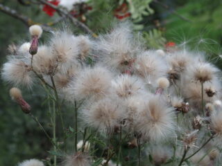 Vrije Geluiden weekendtips!