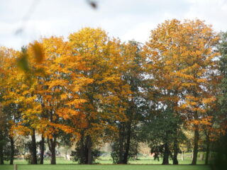 Vrije Geluiden Herfsttips