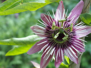 't Vrije Geluiden weekend 27-28 mei 2023