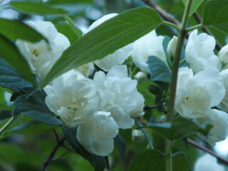 't Vrije Geluiden Weekend 17 en 18 juni 2023