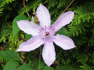 't Vrije Geluiden Weekend 24 en 25 juni 2023