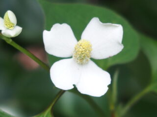 't Vrije Geluiden Weekend 8 en 9 juli 2023