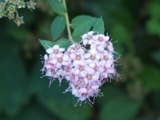 't Vrije Geluiden Weekend 15 en 16 juli 2023