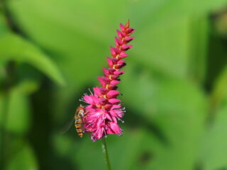 't Vrije Geluiden Weekend 22 en 23 juli 2023