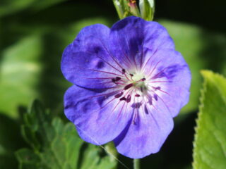 't Vrije Geluiden Weekend 29 en 30 juli 2023
