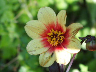 't Vrije Geluiden Weekend 5 en 6 augustus 2023