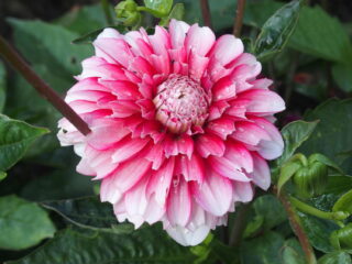 't Vrije Geluiden Weekend 19 en 20 augustus 2023