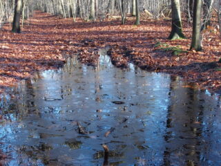 Vrije Geluiden Wintertip