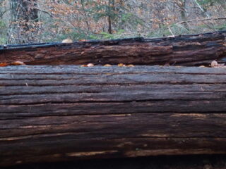 Vrije Geluiden Video Companion