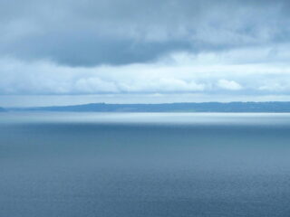 Vrije Geluiden Top Ontelbaar Van 2023