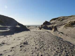 De Tip 400 Van De 21e Eeuw