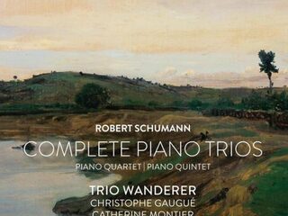 Prijs-cd week 20: Schumann - Trio Wanderer & friends