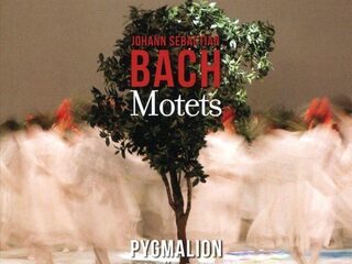 Prijs-cd week 44: Bach Motets - Pygmalion