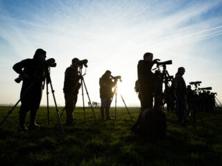 Hoe de 'meest muzikale dieren' ons al eeuwen verwonderen