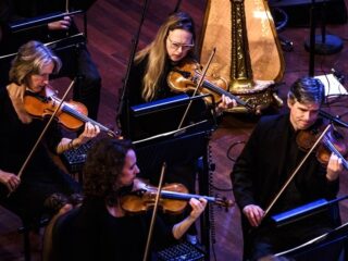 Tropisch hout voor strijkstokken gaat in de ban: 'De consequenties zijn groot'