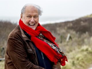 Dit is het culturele landschap van Edwin Rutten