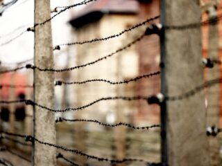 Auschwitz kende vijf orkesten: deze musici speelden een belangrijke rol