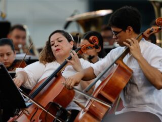 Ook de beste strijkstokken zijn zo duur als een huis: recordbedrag van €250.000