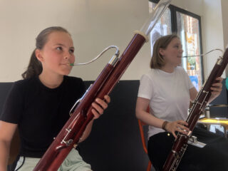 De onterecht onbeminde fagot