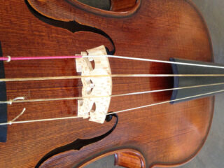 Wat zijn darmsnaren?