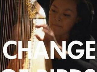 Cities change the songs of birds op NPO 2 Extra